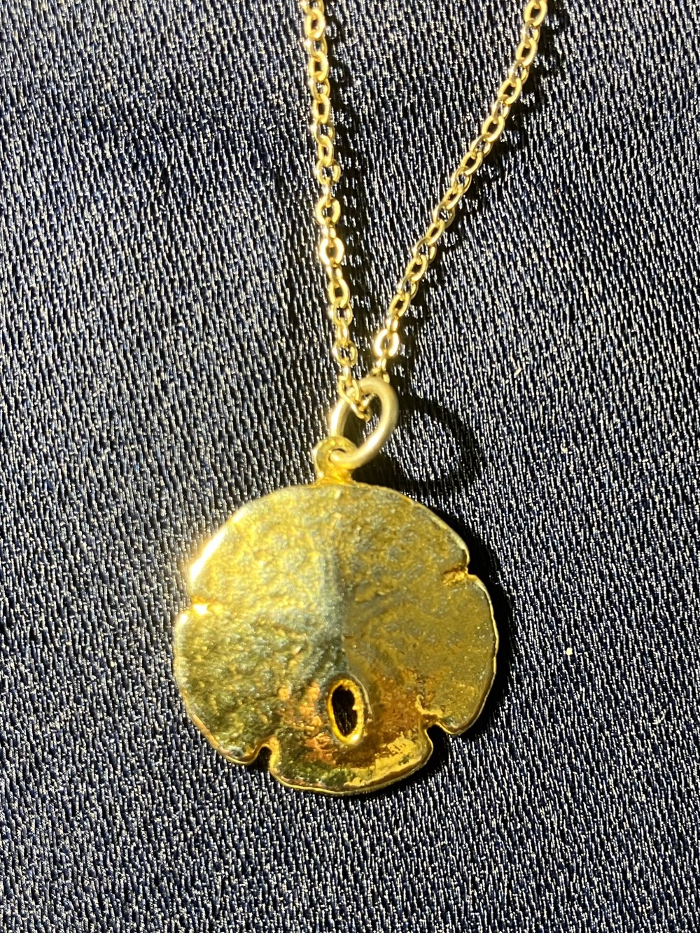 Gold Sand Dollar Pendant Necklace - Women's Jewelry